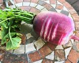 赤大根の甘酢漬け作り方1写真