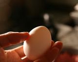 鉄フライパンで作る一人分煮込みハンバーグ作り方13写真