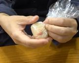 赤酢の手まり寿司作り方4写真