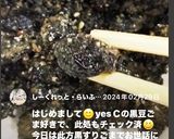 煮豆のすりごまがらめ♡ 粉吹き豆作り方6写真