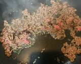 我が家のドライカレー作り方4写真