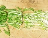 ワンパン！水菜とツナの納豆パスタ作り方1写真