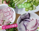 ひな祭り…今年は節約手まり寿司です作り方1写真