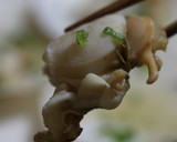 簡単！シンプル！ホタテの酒蒸しの作り方作り方7写真
