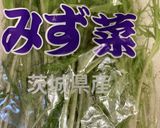 水菜とじゃがいもの牛肉炒め　46作り方1写真