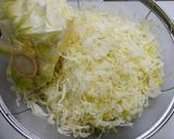 簡単！たっぷりキャベツ　韓国風作り方1写真