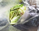白菜大量消費!混ぜるだけ♡いしるサラダ作り方3写真