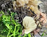 豆苗と切り干し大根のマヨツナ作り方5写真