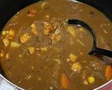 濃くて辛旨！白ネギカレー作り方12写真