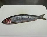 生鰊の塩焼き作り方1写真