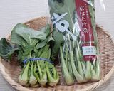 【野菜ソムリエ】畑菜のナムル作り方6写真