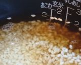 自家製干しわらびの山菜おこわ【干し野菜】作り方7写真