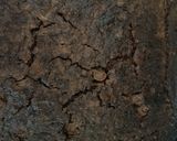 ブラウニー２０２４作り方4写真
