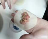 外パリ中ジュワー餃子作り方2写真
