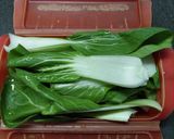 チンゲン菜お浸し【簡単】作り方1写真