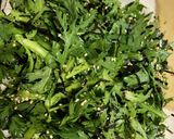 塩麹(生米麹)の作り方作り方8写真