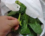 最速の冷凍ほうれん草作り方10写真