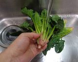 最速の冷凍ほうれん草作り方5写真