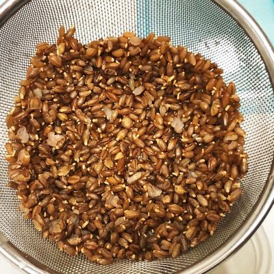 ライ麦(粒) Amazon | 自然健康社 発芽ライ麦 丸粒 全粒 1kg パン用 材料
