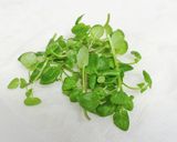 クレソンの塩昆布ご飯作り方1写真