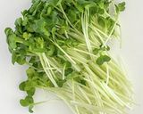 鶏むね肉とかいわれのわさび醤油サラダ作り方2写真