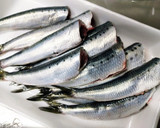 骨まで食べられるイワシの梅しょうが煮作り方1写真