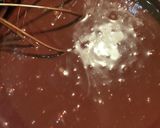 簡単ガトーショコラ作り方5写真