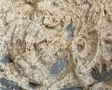 スキレットチョコクッキー２０２４作り方1写真