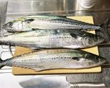 サゴシ(サワラ)の炙り漬け作り方1写真