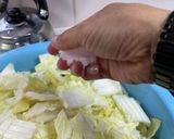 発酵キムチ作り、完成の域来たかな作り方6写真