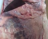 Beef stew　ビーフシチュー作り方22写真