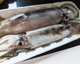 漬けて焼くだけ！烏賊のいしる漬け一夜干し作り方1写真