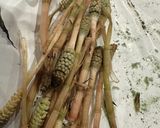 春のつくしを食べて花粉症撃退だ花粉症予防作り方1写真