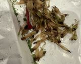 春のつくしを食べて花粉症撃退だ花粉症予防作り方2写真