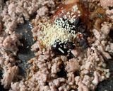 我が家自慢の素を使わない麻婆豆腐作り方3写真