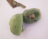 キウイカード作り方1写真