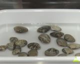 さわらと春野菜のアクアパッツァ作り方8写真