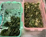 ♡ふりかけ×大葉のコラボ＝ごはんのお供♡作り方11写真