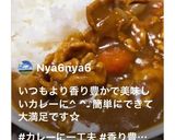 豚こまのスパイスカレー作り方10写真