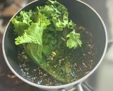 わさび菜のピーナッツ和え作り方2写真