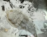 エビマヨネーズカレー味♪作り方2写真