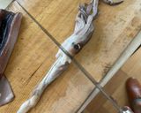 筋肉エンジニアのイカ丸ごとパスタ作り方5写真