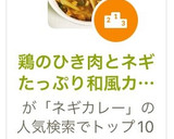 鶏のひき肉とネギたっぷり和風カレー丼作り方15写真