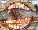 虹鱒の塩焼き：シンプルに焼いてみました作り方3写真