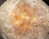 新玉ねぎのコンソメスープ♪作り方9写真