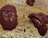 鳥レバーの中華煮　作り方2写真