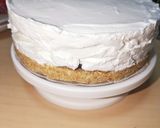 ヨーグルトのムースケーキ作り方8写真