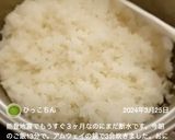 13分☆お鍋で簡単！美味しいご飯の炊き方作り方32写真