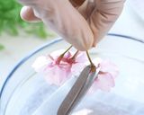 【春の香りで、リラックス♪】桜シロップ作り方1写真
