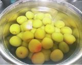 【梅ジュース】炊飯器保温で1晩出来上がり作り方1写真